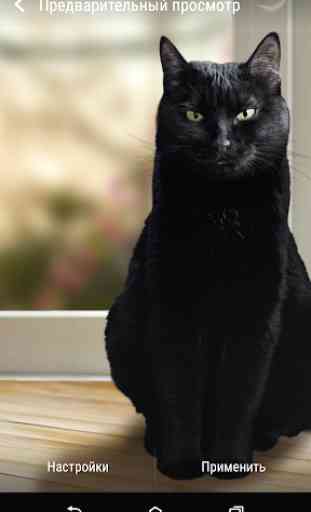 Carino gatto nero Sfondi animati 2