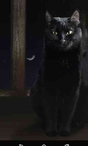 Carino gatto nero Sfondi animati 4