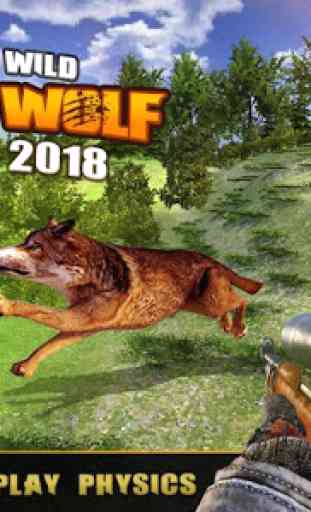 cecchino a caccia selvaggio lupo animali 4