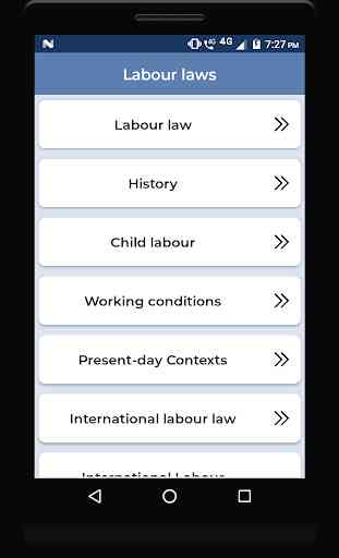 Labour laws 2