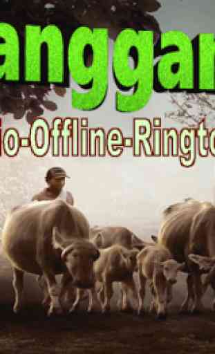 Lagu Langgam Jawa | Offline + Ringtone 1
