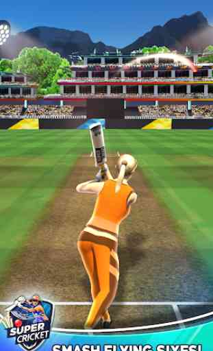Passion Cricket Games 2