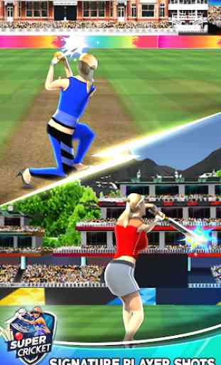 Passion Cricket Games 3