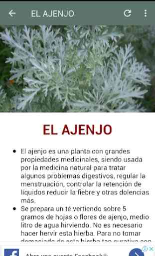 Plantas y Hierbas medicinales 4