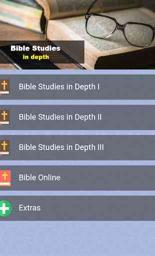 Bible Studies in Depth 4