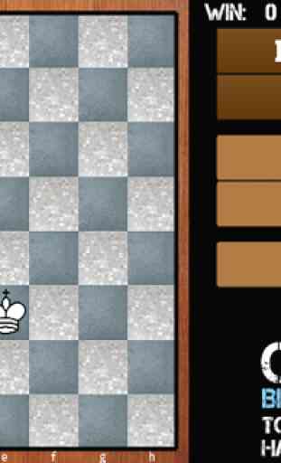 Chess Endgames 1