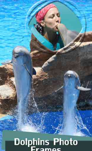 delfini cornici 1
