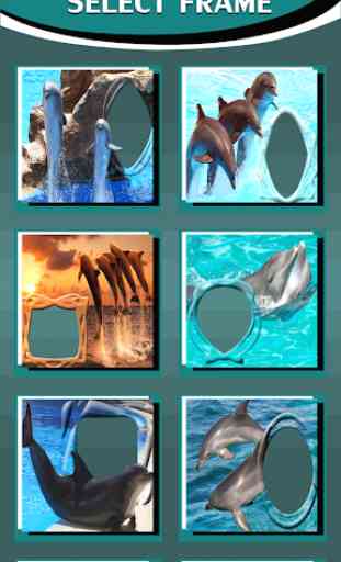 delfini cornici 3