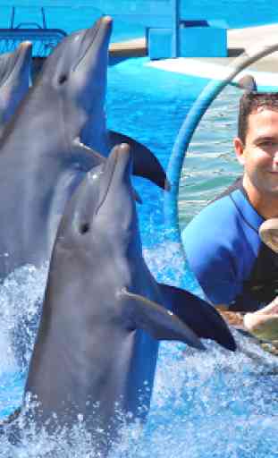 delfini cornici 4