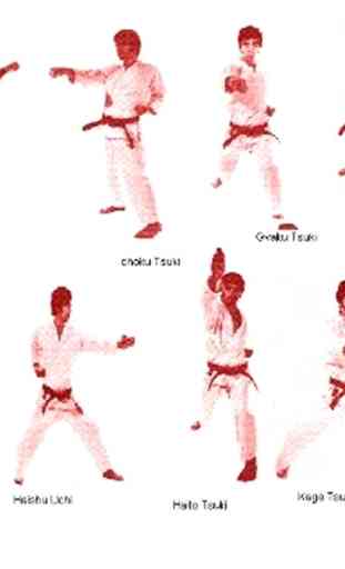 Impara il karate 1
