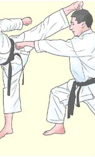Impara il karate 2