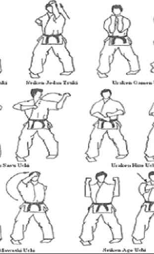 Impara il karate 3