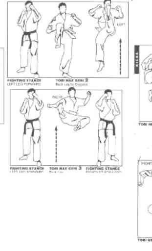Impara il karate per principianti 2