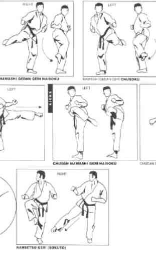 Impara il karate per principianti 4
