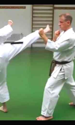 Karate training 2