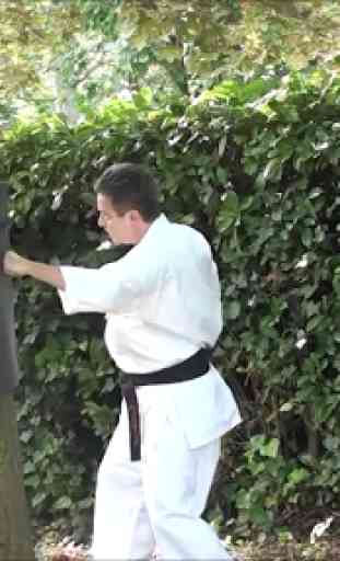 Karate training 3