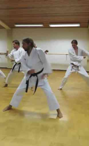 Karate training 4
