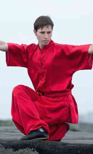 Learn Kung Fu Training 2020 1