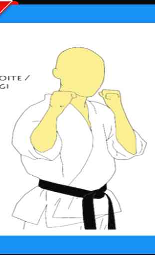 Migliore tecnica di karate 3