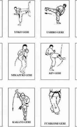 Tecniche di base del movimento di karate 1