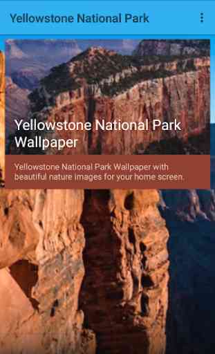 Yellowstone National Park 1