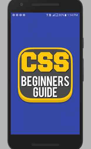 Beginners Guide to CSS Competitive Examination 1