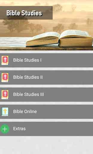 Bible Studies in depth for life 4