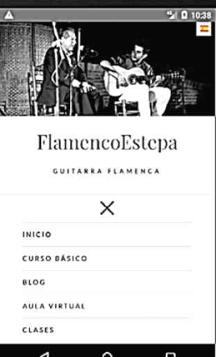 Classi di chitarra flamenco 4