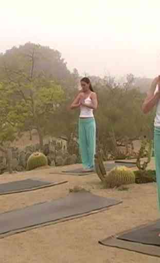 Gentle VInyassa Yoga Workout 4