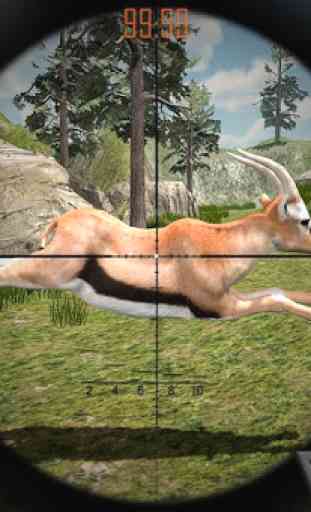 Giochi di caccia al cervo 3D- Animal hunter 2020 1