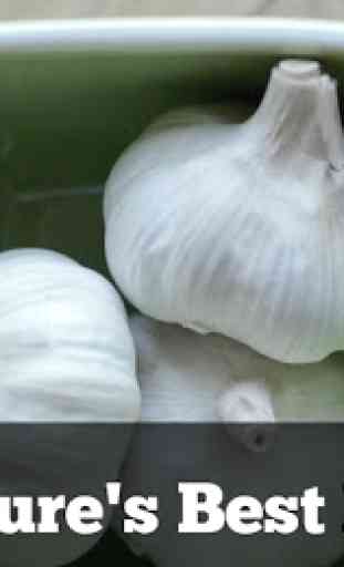 Health Benefits of Garlic 1