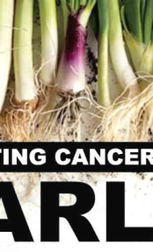 Health Benefits of Garlic 3