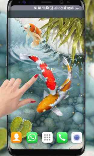 pesce koi live wallpaper nuovi sfondi di pesci 3d 1