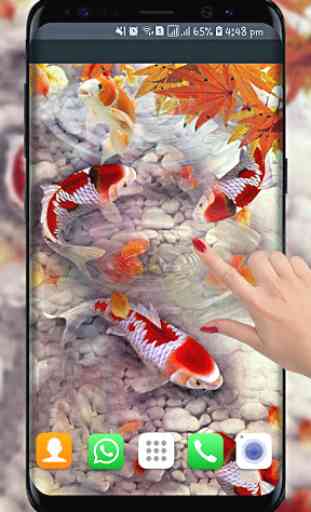 pesce koi live wallpaper nuovi sfondi di pesci 3d 2