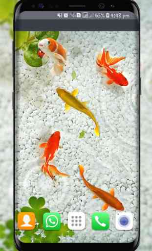 pesce koi live wallpaper nuovi sfondi di pesci 3d 4