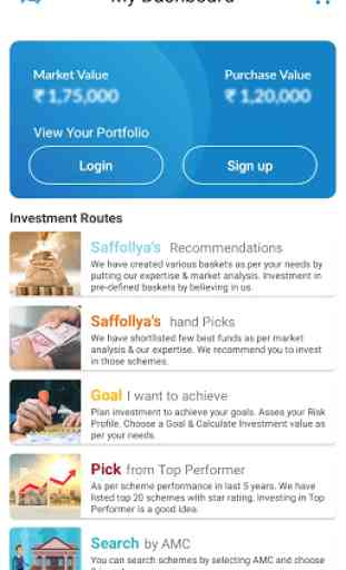 Saffollya Investments 2