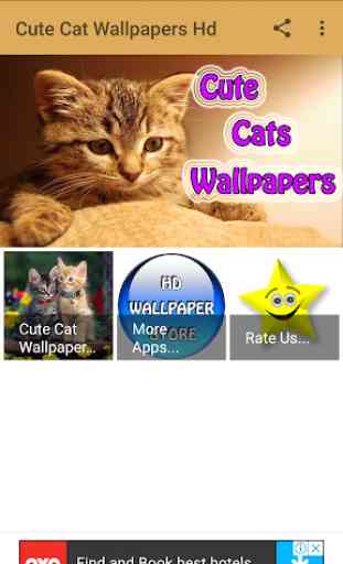 Cute Cat Wallpapers Hd 1