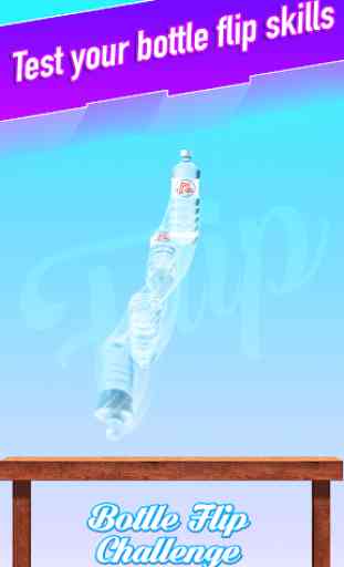 Epic Bottle Flip Challenge 3