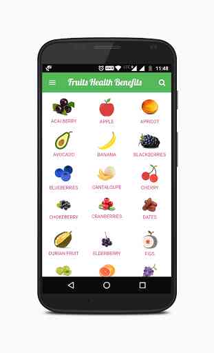 Fruit Health Benefits 2
