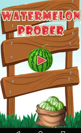 Watermelon Prober 1