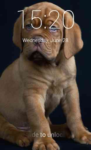 Cute Puppy Lock Screen 1