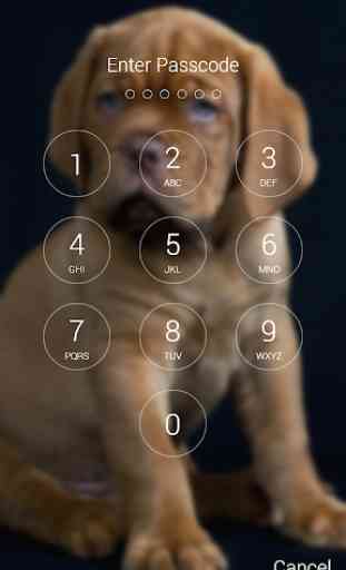 Cute Puppy Lock Screen 2