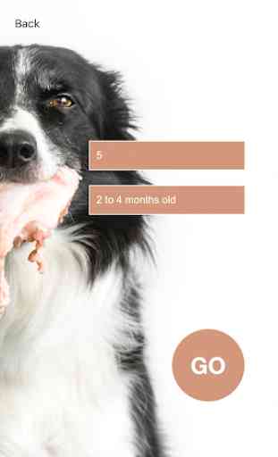 Dog Raw Feeding Calculator 3