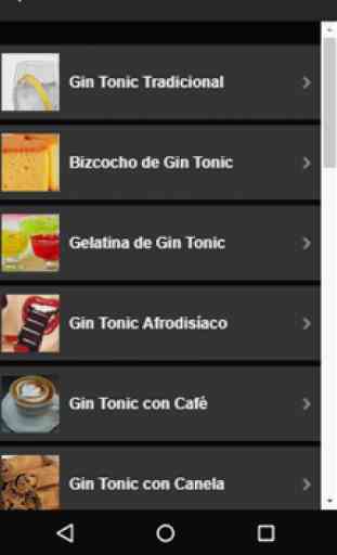 Gin Tonic / Recetas de GinTonic / Gin y Tónicas 2