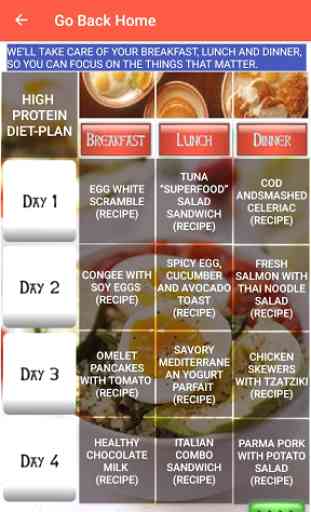 High Protein Diet-Plan 2