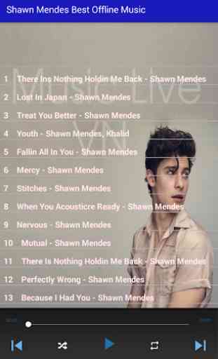 Shawn Mendes Best Offline Music 2