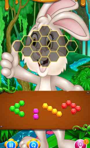 Bunny Hexa Puzzle 2