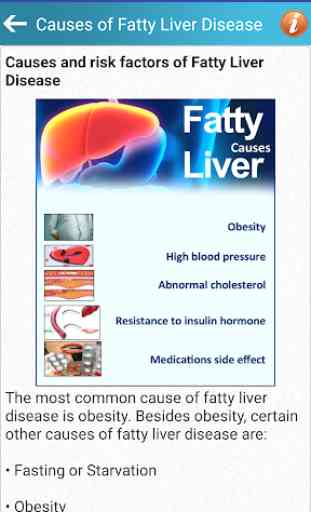 Fatty Liver Diet Healthy Foods & Hepatic Steatosis 4