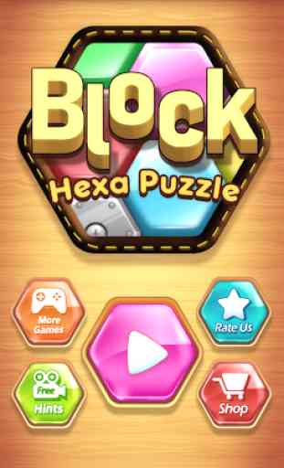 Hexa Puzzle Wood Block 1