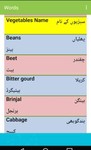 Learn English in Urdu 4